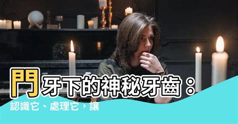 門牙下面的牙齒|四種不同類型的牙齒及更多知識